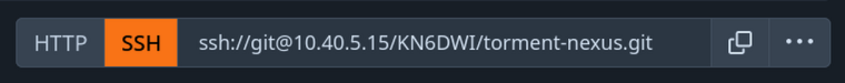 A screenshot of the SSH git clone URL on a forgejo repository. The repository being cloned is KN6DWI/torment-nexus.git.
